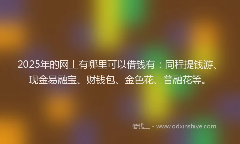 2025年的网上有哪里可以借钱有：同程提钱游、现金易融宝、财钱包、金色花、普融花等。