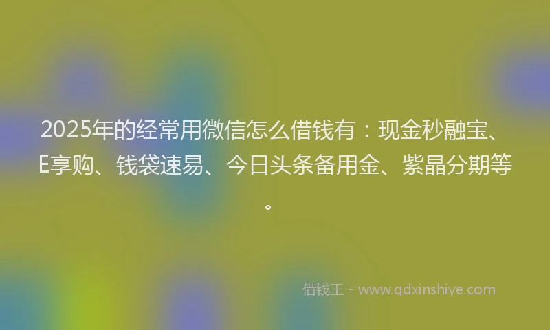 2025年的经常用微信怎么借钱有：现金秒融宝、E享购、钱袋速易、今日头条备用金、紫晶分期等。