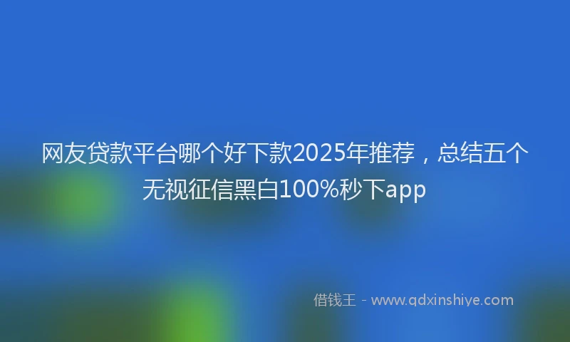 网友贷款平台哪个好下款2025年推荐，总结五个无视征信黑白100%秒下app