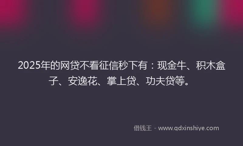 2025年的网贷不看征信秒下有：现金牛、积木盒子、安逸花、掌上贷、功夫贷等。