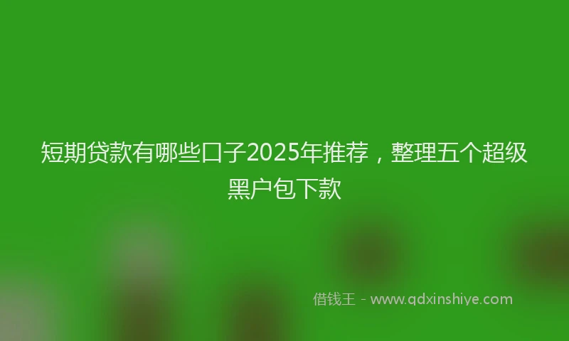 短期贷款有哪些口子2025年推荐，整理五个超级黑户包下款
