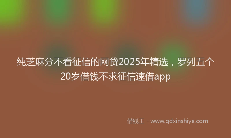 纯芝麻分不看征信的网贷2025年精选，罗列五个20岁借钱不求征信速借app