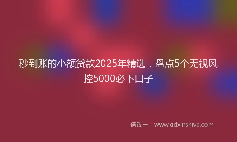 秒到账的小额贷款2025年精选，盘点5个无视风控5000必下口子