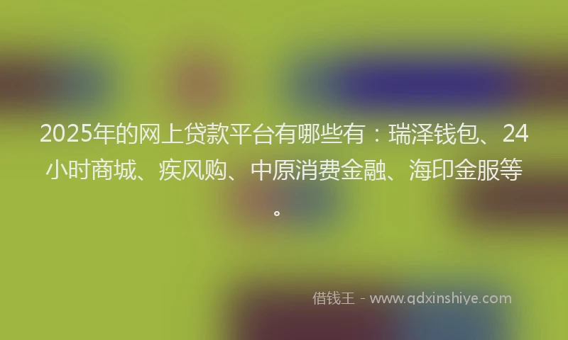 2025年的网上贷款平台有哪些有：瑞泽钱包、24小时商城、疾风购、中原消费金融、海印金服等。