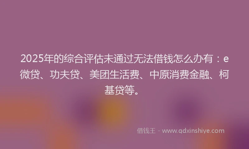 2025年的综合评估未通过无法借钱怎么办有：e微贷、功夫贷、美团生活费、中原消费金融、柯基贷等。