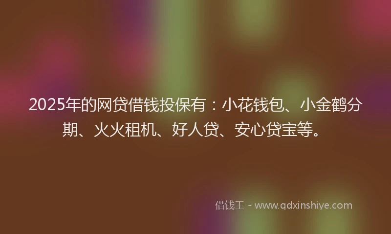 2025年的网贷借钱投保有：小花钱包、小金鹤分期、火火租机、好人贷、安心贷宝等。