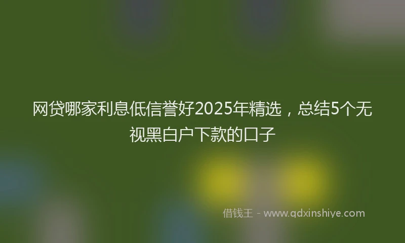 网贷哪家利息低信誉好2025年精选，总结5个无视黑白户下款的口子