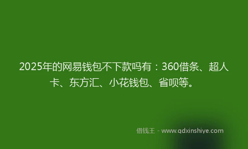2025年的网易钱包不下款吗有：360借条、超人卡、东方汇、小花钱包、省呗等。
