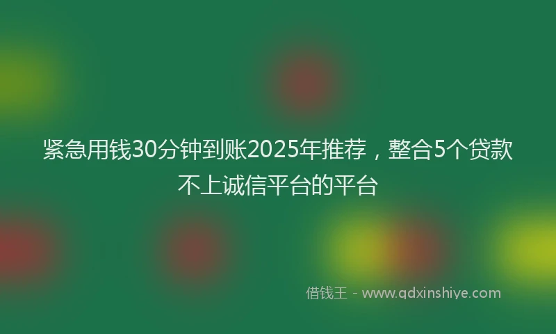 紧急用钱30分钟到账2025年推荐，整合5个贷款不上诚信平台的平台