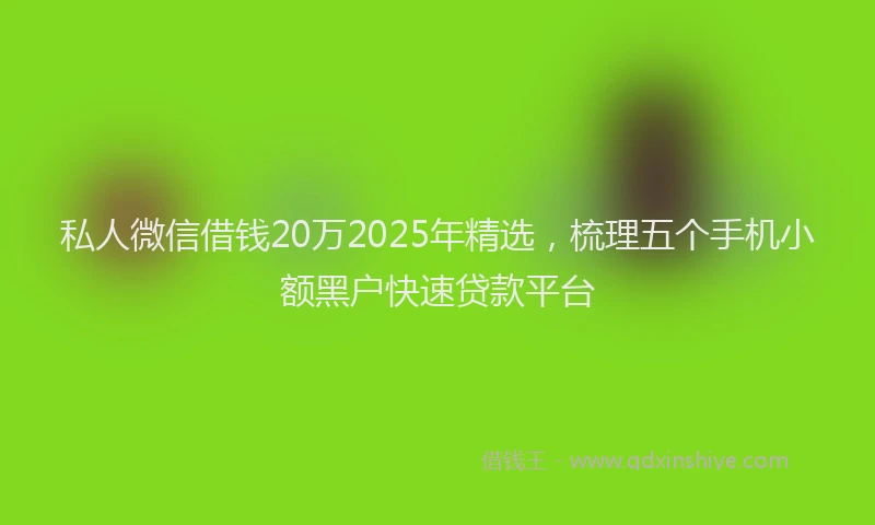 私人微信借钱20万2025年精选，梳理五个手机小额黑户快速贷款平台