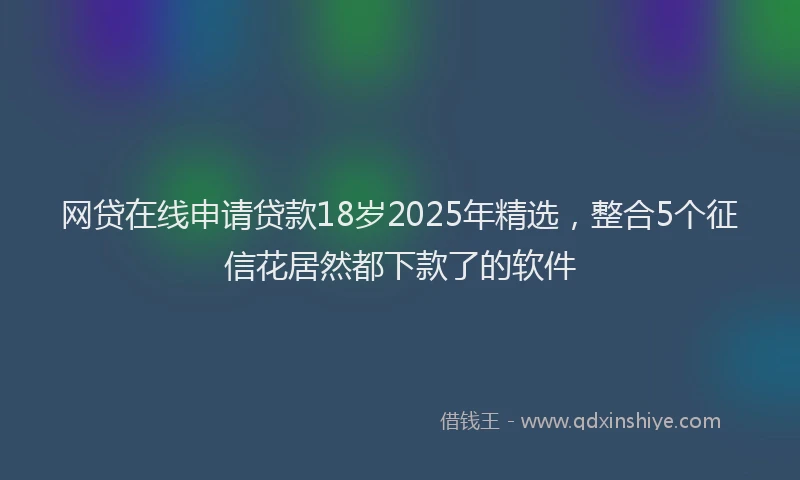 网贷在线申请贷款18岁2025年精选，整合5个征信花居然都下款了的软件