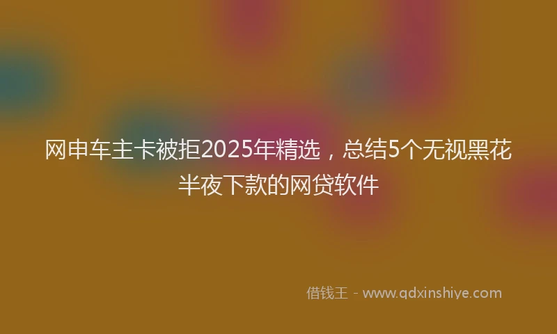 网申车主卡被拒2025年精选，总结5个无视黑花半夜下款的网贷软件