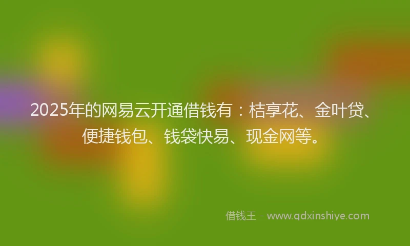 2025年的网易云开通借钱有：桔享花、金叶贷、便捷钱包、钱袋快易、现金网等。
