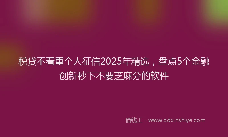 税贷不看重个人征信2025年精选，盘点5个金融创新秒下不要芝麻分的软件