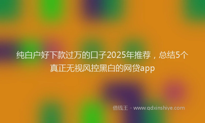 纯白户好下款过万的口子2025年推荐，总结5个真正无视风控黑白的网贷app