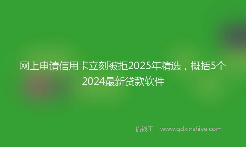 网上申请信用卡立刻被拒2025年精选，概括5个2024最新贷款软件