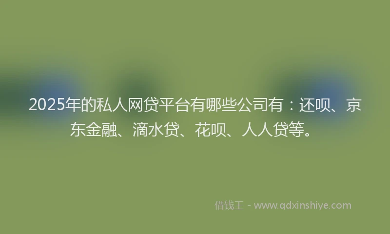 2025年的私人网贷平台有哪些公司有：还呗、京东金融、滴水贷、花呗、人人贷等。