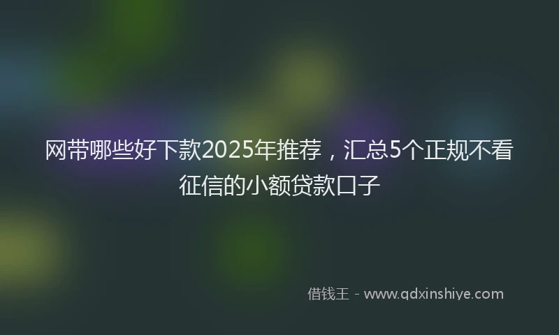 网带哪些好下款2025年推荐，汇总5个正规不看征信的小额贷款口子