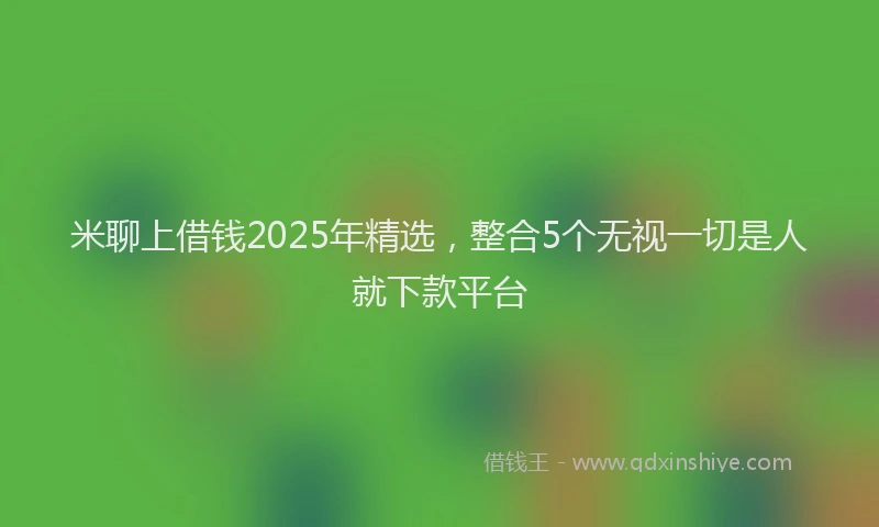 米聊上借钱2025年精选，整合5个无视一切是人就下款平台
