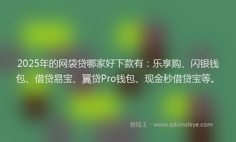 2025年的网袋贷哪家好下款有：乐享购、闪银钱包、借贷易宝、翼贷Pro钱包、现金秒借贷宝等。