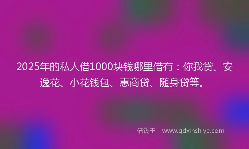2025年的私人借1000块钱哪里借有：你我贷、安逸花、小花钱包、惠商贷、随身贷等。