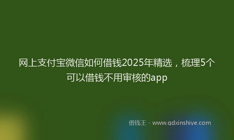 网上支付宝微信如何借钱2025年精选，梳理5个可以借钱不用审核的app