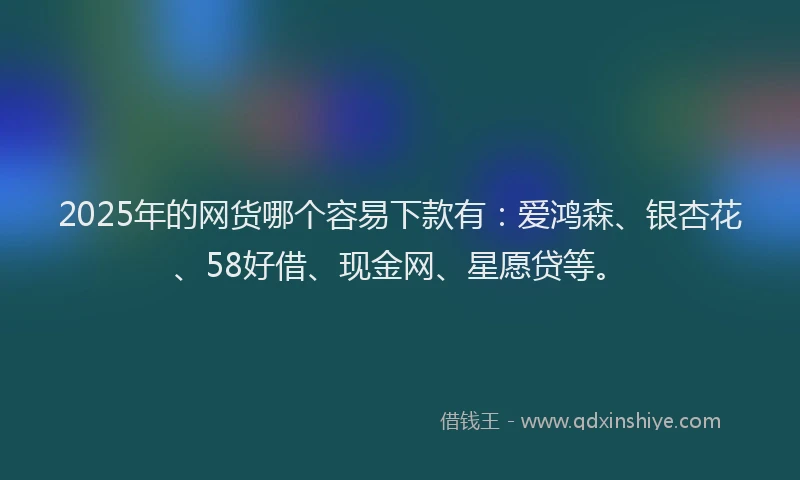 2025年的网货哪个容易下款有：爱鸿森、银杏花、58好借、现金网、星愿贷等。