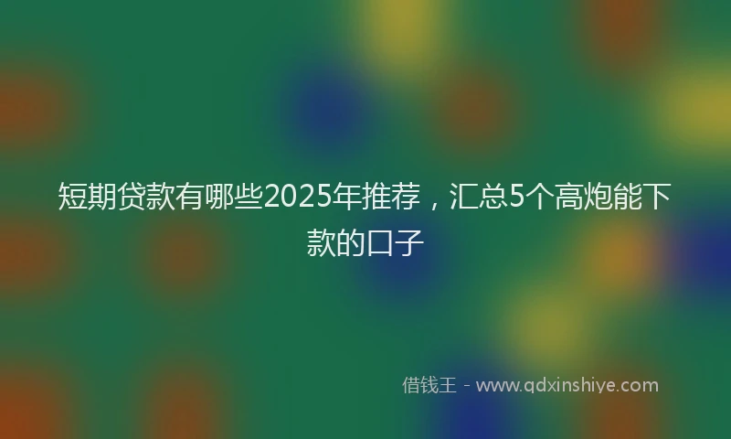 短期贷款有哪些2025年推荐，汇总5个高炮能下款的口子