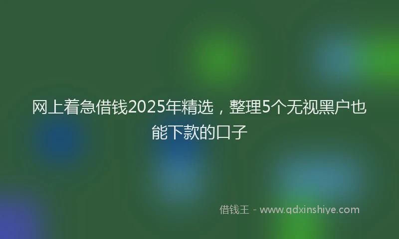 网上着急借钱2025年精选，整理5个无视黑户也能下款的口子