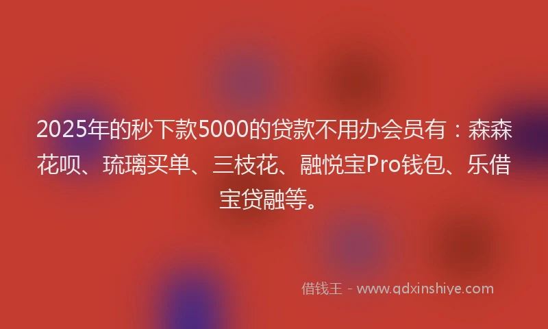 2025年的秒下款5000的贷款不用办会员有：森森花呗、琉璃买单、三枝花、融悦宝Pro钱包、乐借宝贷融等。