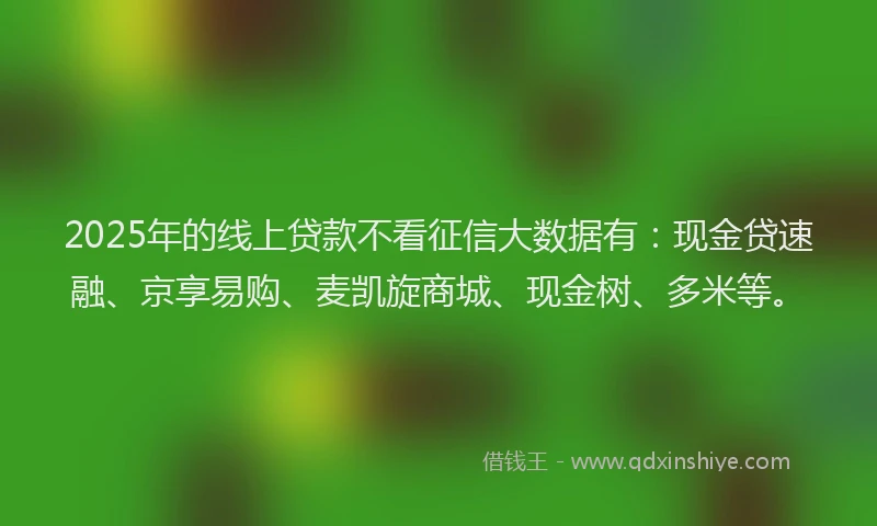 2025年的线上贷款不看征信大数据有：现金贷速融、京享易购、麦凯旋商城、现金树、多米等。