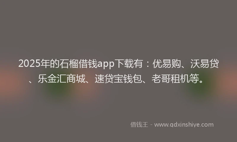 2025年的石榴借钱app下载有：优易购、沃易贷、乐金汇商城、速贷宝钱包、老哥租机等。