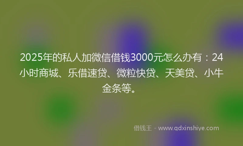 2025年的私人加微信借钱3000元怎么办有：24小时商城、乐借速贷、微粒快贷、天美贷、小牛金条等。