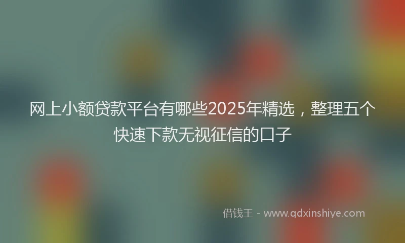 网上小额贷款平台有哪些2025年精选，整理五个快速下款无视征信的口子