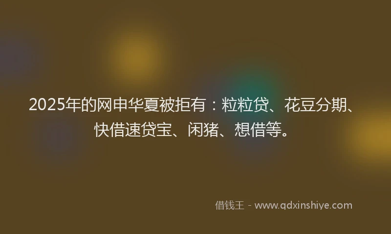 2025年的网申华夏被拒有：粒粒贷、花豆分期、快借速贷宝、闲猪、想借等。