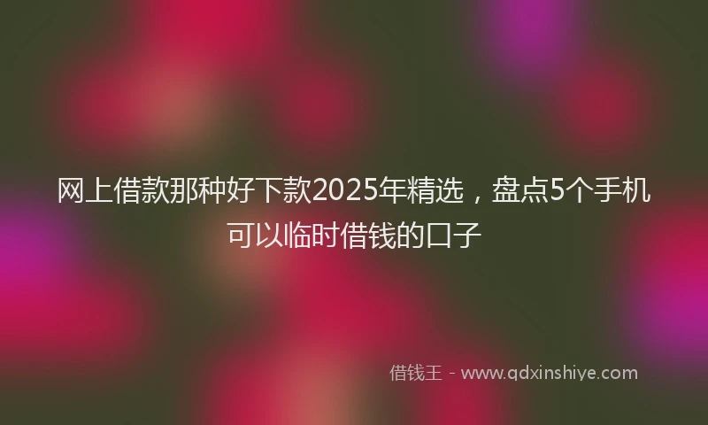 网上借款那种好下款2025年精选，盘点5个手机可以临时借钱的口子