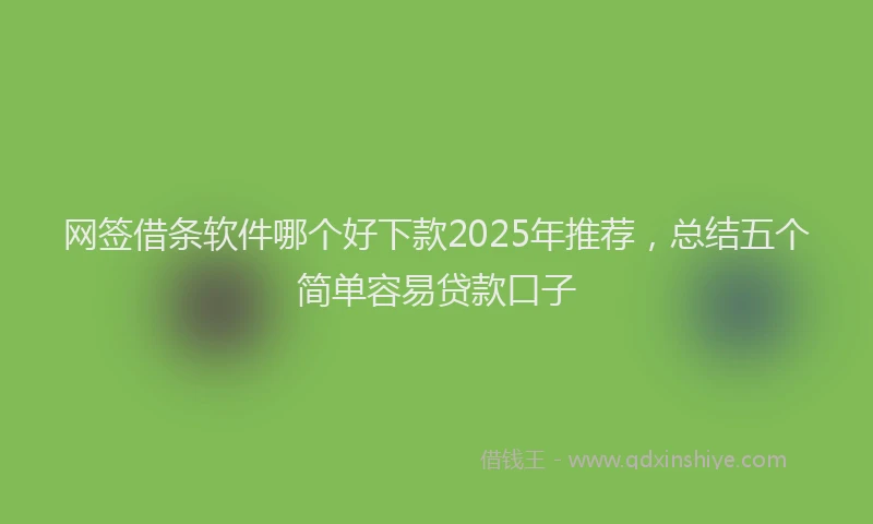 网签借条软件哪个好下款2025年推荐，总结五个简单容易贷款口子