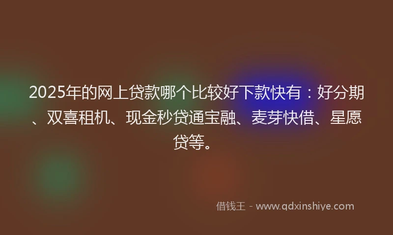 2025年的网上贷款哪个比较好下款快有：好分期、双喜租机、现金秒贷通宝融、麦芽快借、星愿贷等。