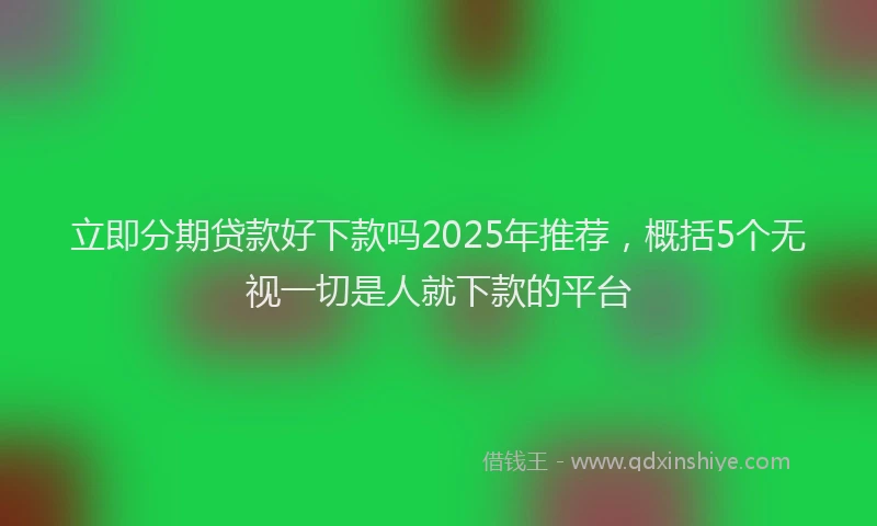 立即分期贷款好下款吗2025年推荐，概括5个无视一切是人就下款的平台