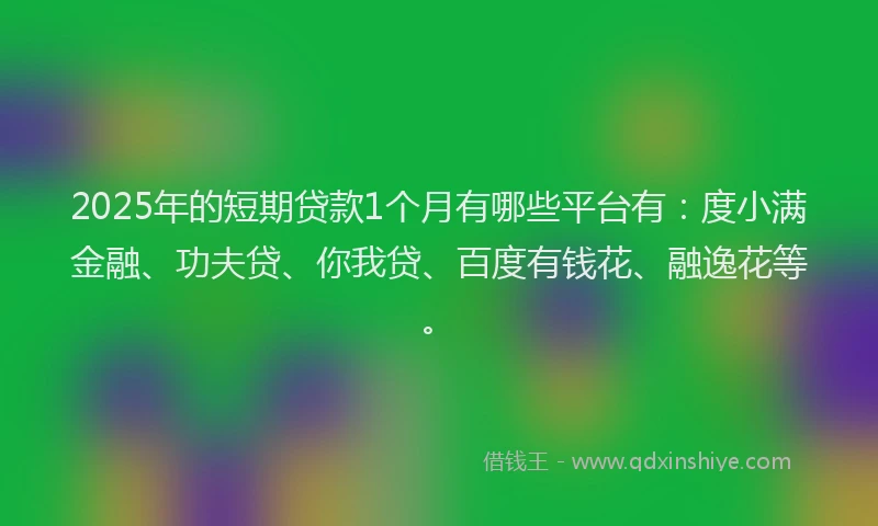 2025年的短期贷款1个月有哪些平台有：度小满金融、功夫贷、你我贷、百度有钱花、融逸花等。