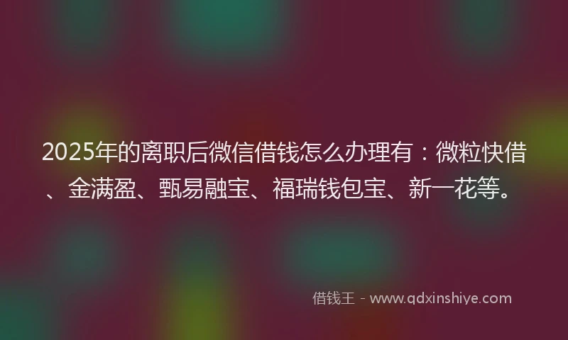 2025年的离职后微信借钱怎么办理有：微粒快借、金满盈、甄易融宝、福瑞钱包宝、新一花等。