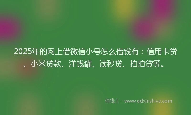 2025年的网上借微信小号怎么借钱有：信用卡贷、小米贷款、洋钱罐、读秒贷、拍拍贷等。