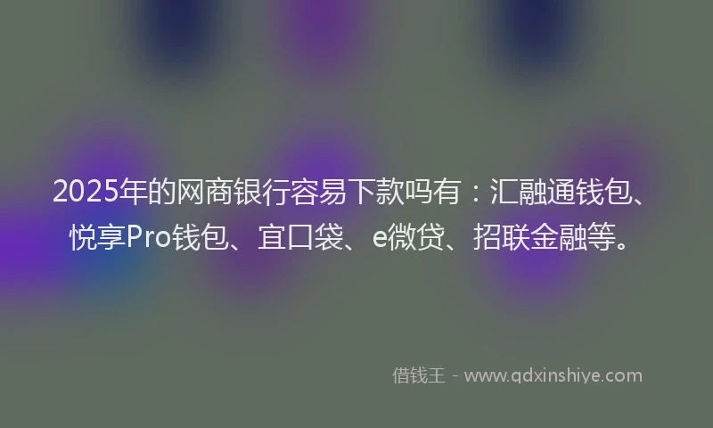 2025年的网商银行容易下款吗有：汇融通钱包、悦享Pro钱包、宜口袋、e微贷、招联金融等。