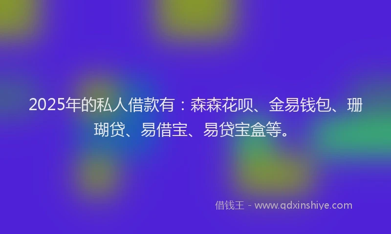 2025年的私人借款有：森森花呗、金易钱包、珊瑚贷、易借宝、易贷宝盒等。
