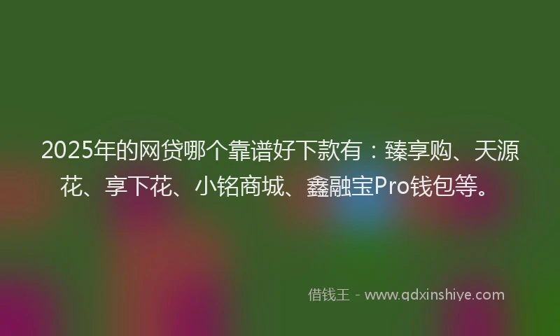 2025年的网贷哪个靠谱好下款有：臻享购、天源花、享下花、小铭商城、鑫融宝Pro钱包等。