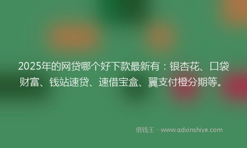 2025年的网贷哪个好下款最新有：银杏花、口袋财富、钱站速贷、速借宝盒、翼支付橙分期等。