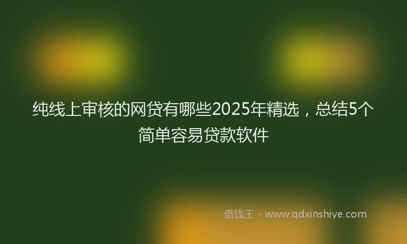 纯线上审核的网贷有哪些2025年精选，总结5个简单容易贷款软件