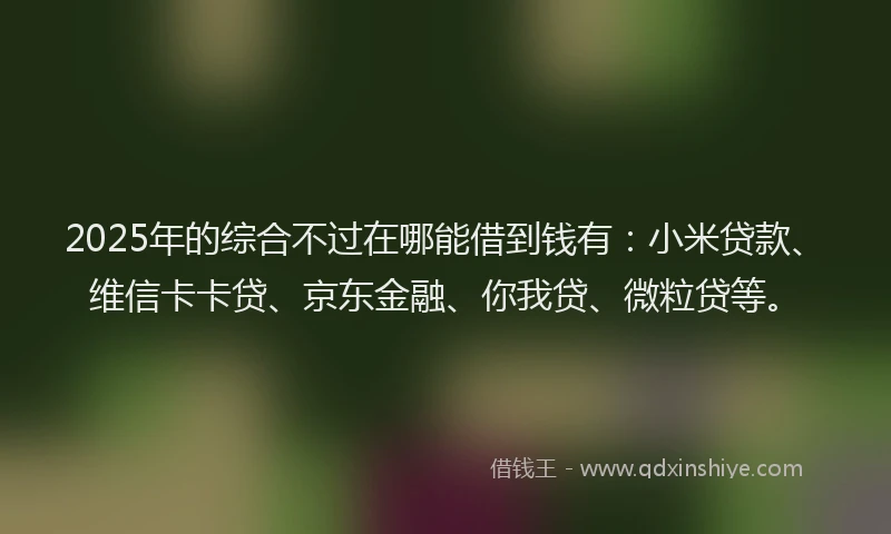 2025年的综合不过在哪能借到钱有：小米贷款、维信卡卡贷、京东金融、你我贷、微粒贷等。