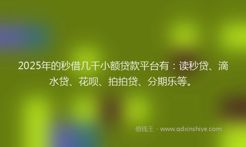 2025年的秒借几千小额贷款平台有：读秒贷、滴水贷、花呗、拍拍贷、分期乐等。