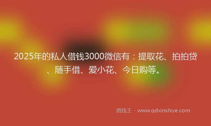 2025年的私人借钱3000微信有：提取花、拍拍贷、随手借、爱小花、今日购等。